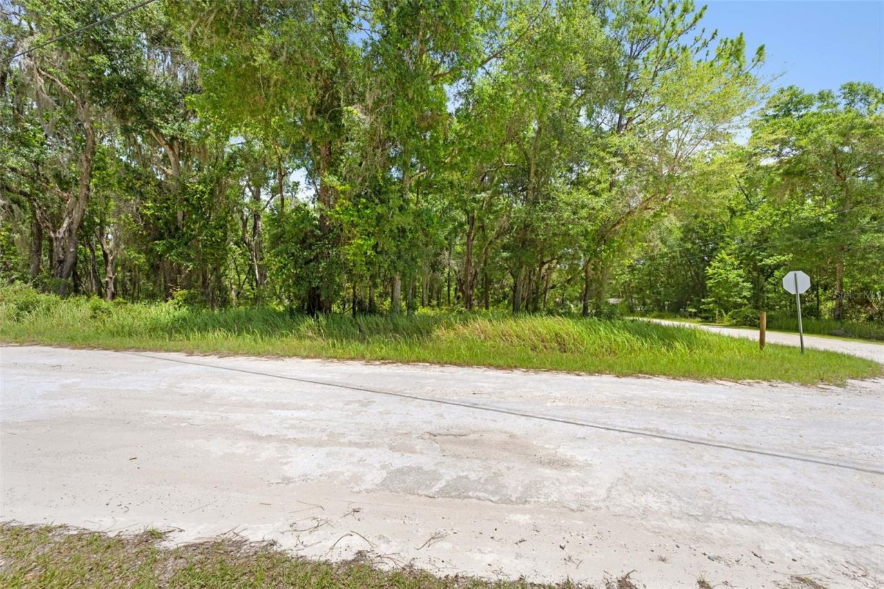 0 Ricebird Avenue, Lot #LOT 10-11, Weeki Wachee, FL 34614 Photo
