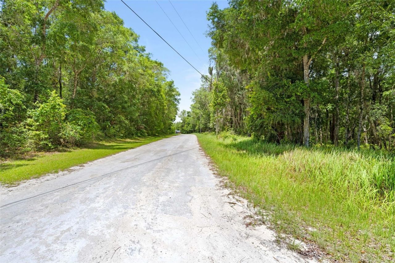 0 Ricebird Avenue, Lot #LOT 10-11, Weeki Wachee, FL 34614 Photo