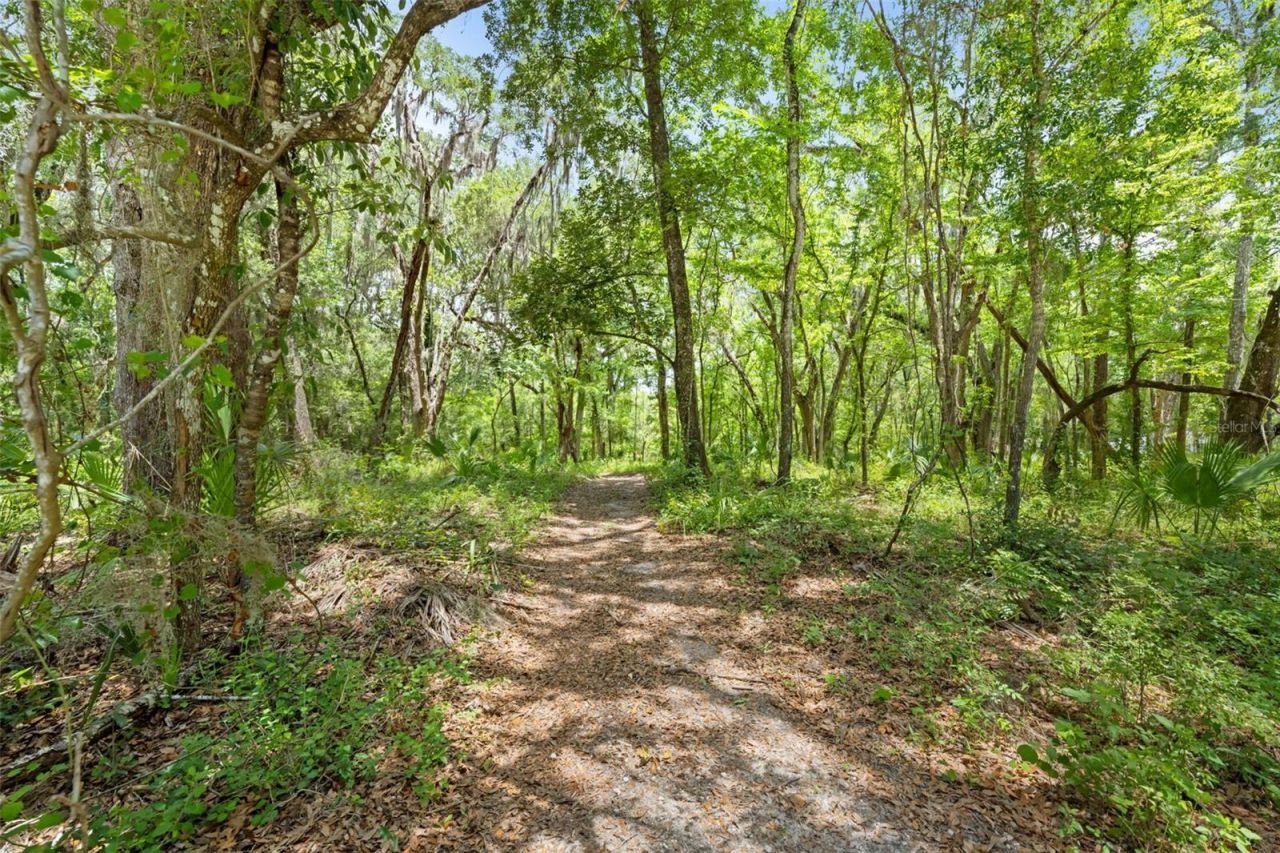 0 Ricebird Avenue, Lot #LOT 10-11, Weeki Wachee, FL 34614 Photo