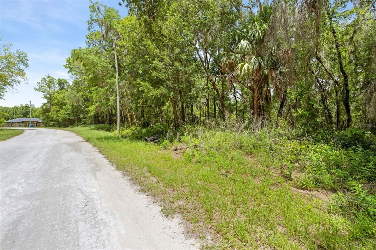 0 Ricebird Avenue, Lot #LOT 10-11, Weeki Wachee, FL 34614 Photo
