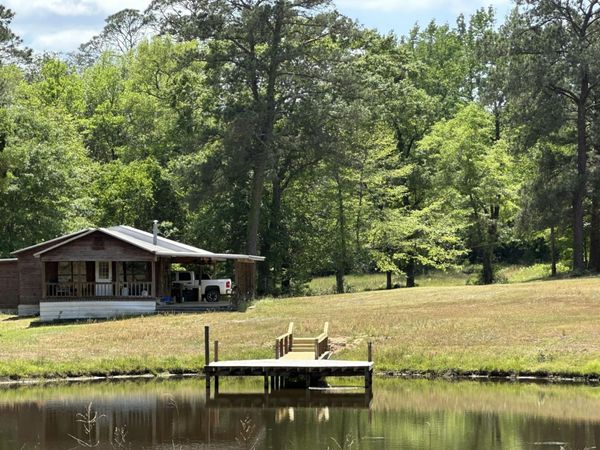 Parcel H County Road 20 / New Ebenezer Road, Florala, AL 36442