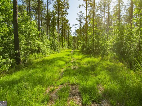 0 Weaver Jones Road, Rutledge, GA 30663