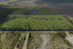 6222 Saints Delight Rd.  photo 4