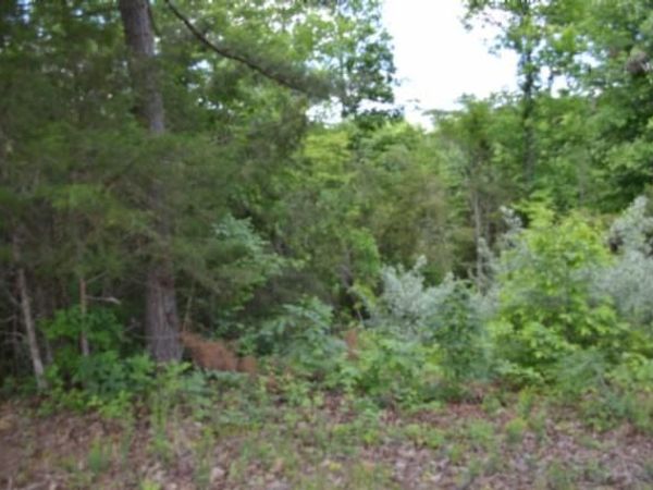 2.75ac Beauchamp Rd, Burkesville, KY 42717