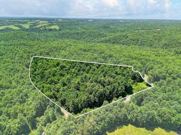 0 Shotgun Annie Rd, Jamestown, TN 38556