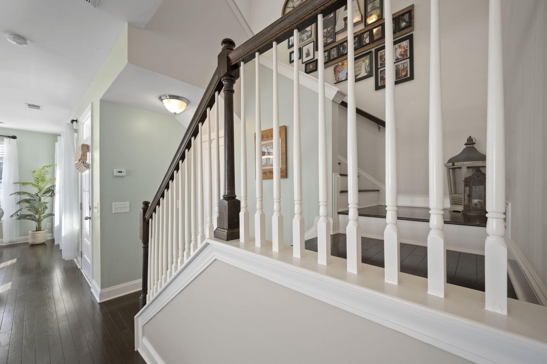 7405 Purser Lane Photo 24
