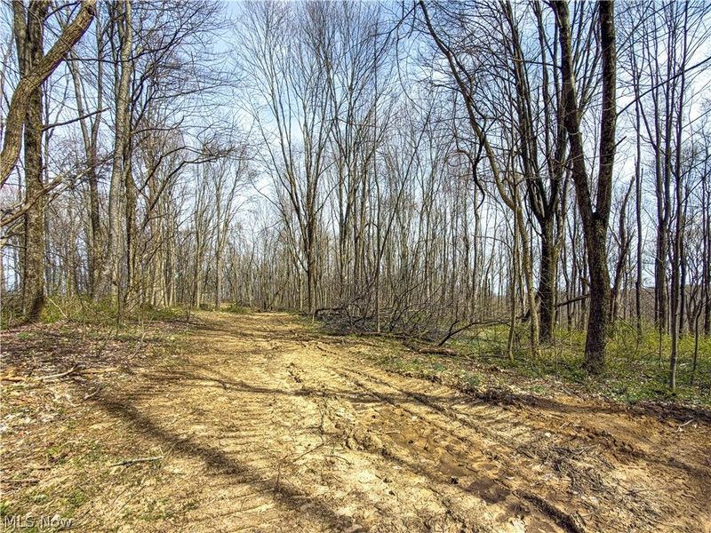 0 St Rt 258, Port Washington, OH 43837 Photo 20