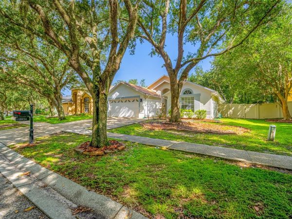 18934 WOOD SAGE DRIVE , TAMPA, FL 33647