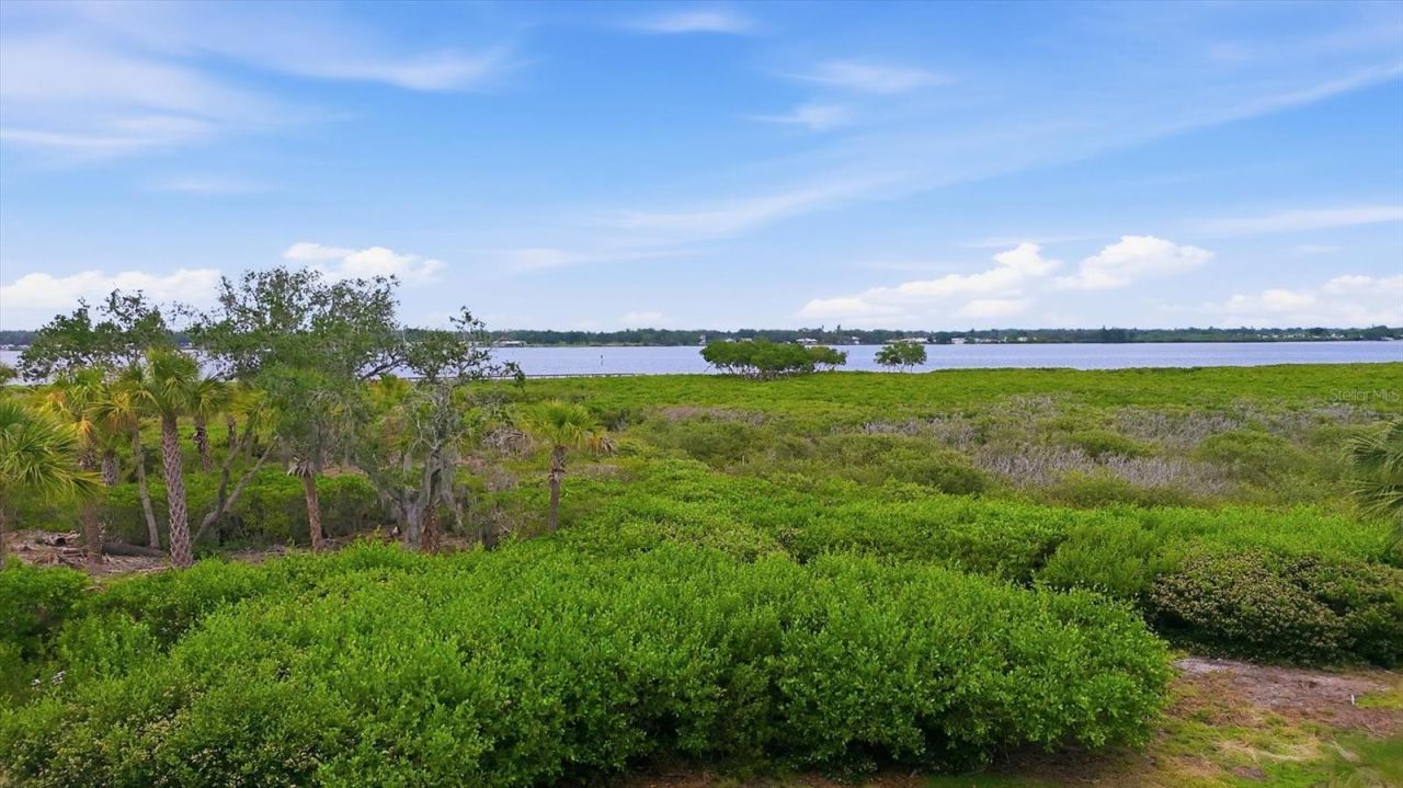 5122 Tidewater Preserve Boulevard, Bradenton, FL 34208 Photo