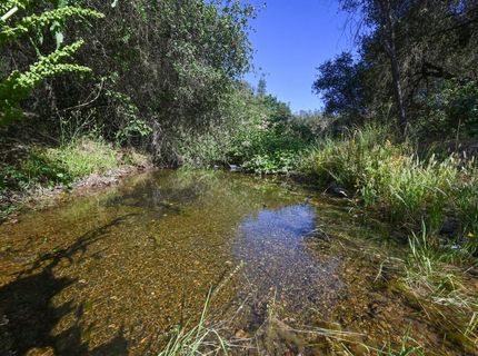 5288 Rattlesnake Bar Rd, Pilot Hill, CA 95664 Photo