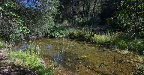 5288 Rattlesnake Bar Rd, Pilot Hill, CA 95664 Photo