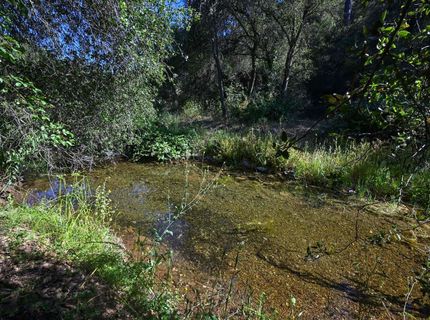 5288 Rattlesnake Bar Rd, Pilot Hill, CA 95664 Photo