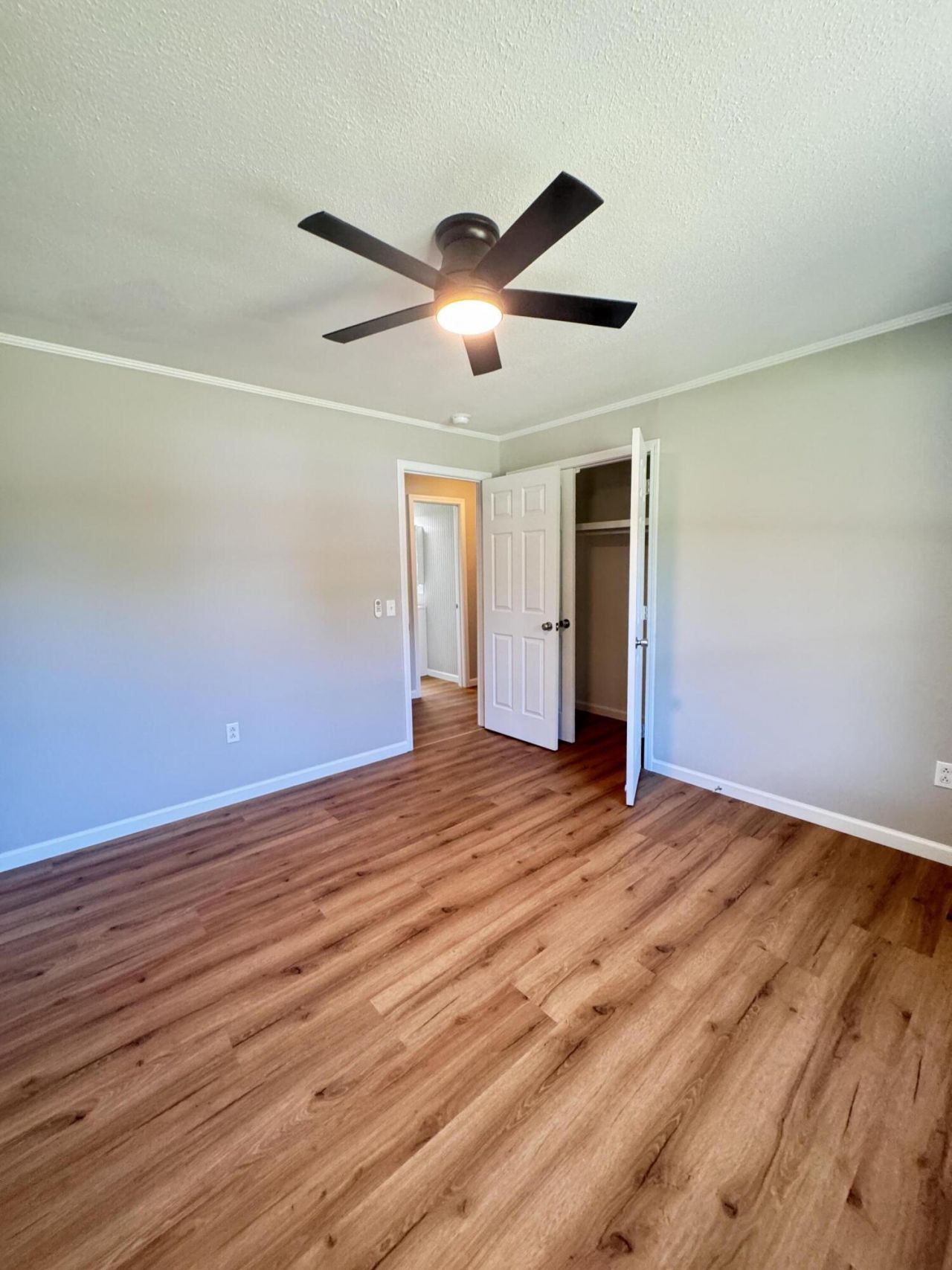 505 Lakeshore Photo 29
