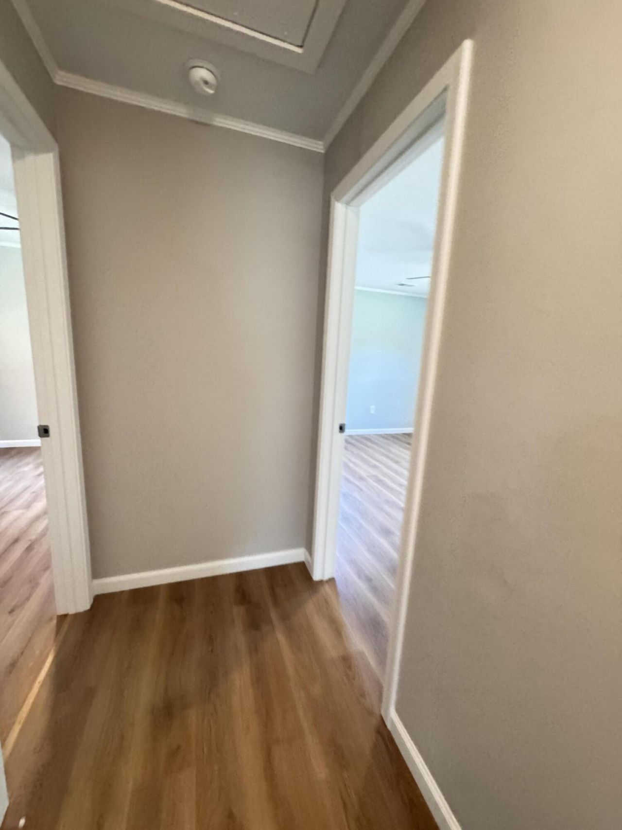 505 Lakeshore Photo 40
