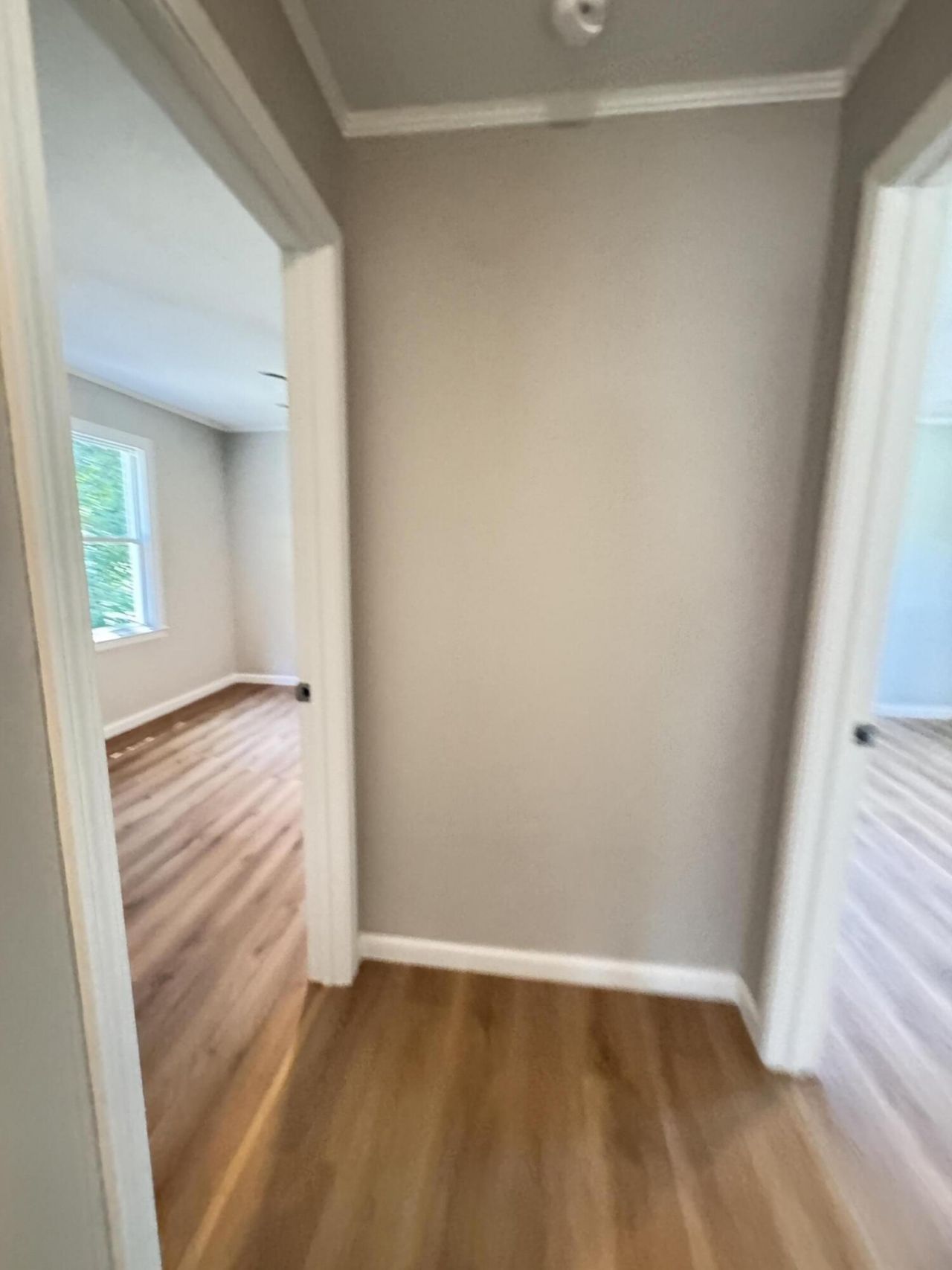 505 Lakeshore Photo 41