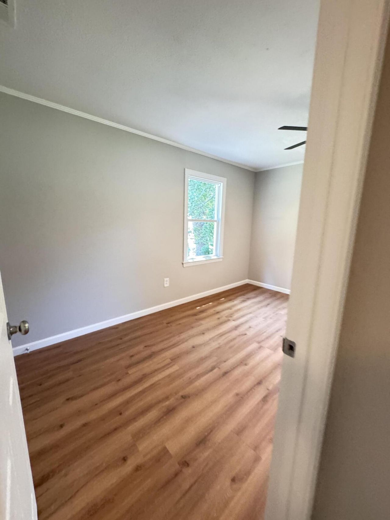 505 Lakeshore Photo 42