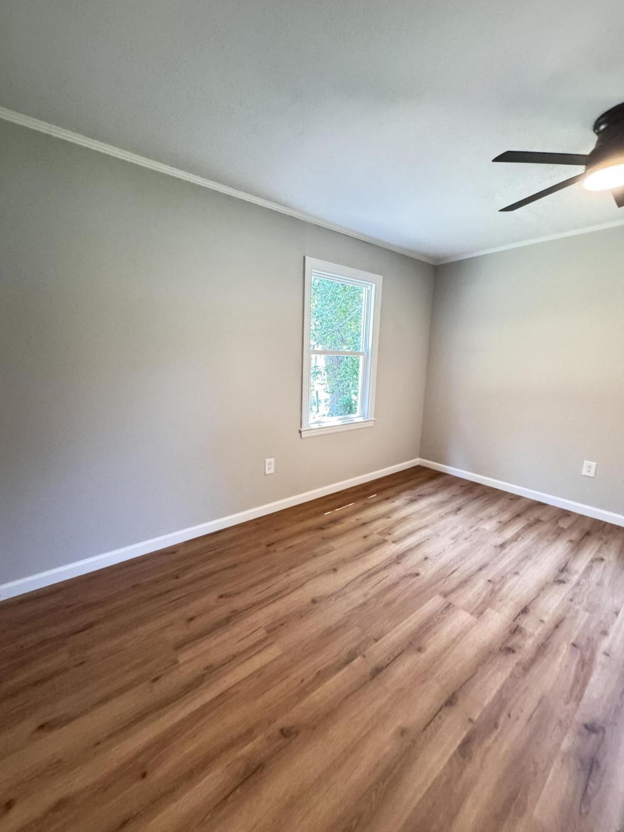 505 Lakeshore Photo 43