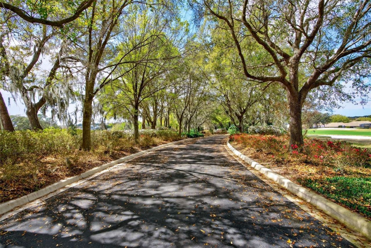 1105 W Pointe Vista Path , Unit 43, Hernando, FL 34442 Photo