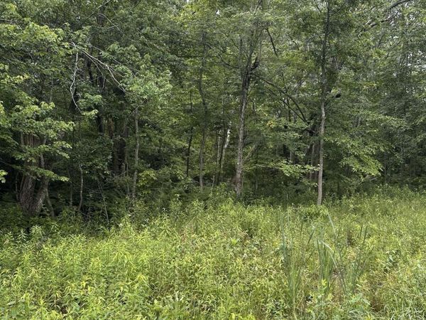3119 Crow Drive, Crossville, TN 38572