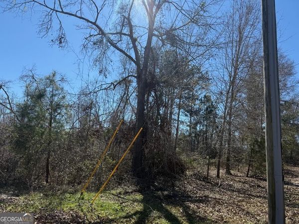 0 Wragler Trail (lot), Hazlehurst, GA 31539