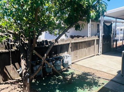 2505 Jackson Ave #132, Escalon, CA 95320 Photo