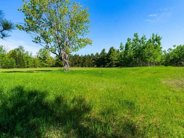 TBD E Levering Road, Levering, MI 49755