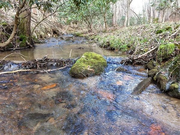 LT 45A Synacia Drive, Mineral Bluff, GA 30559