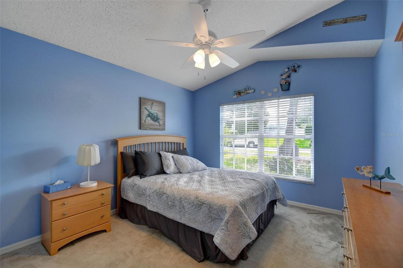 5085 Plumosa Street, Spring Hill, FL 34607 Photo