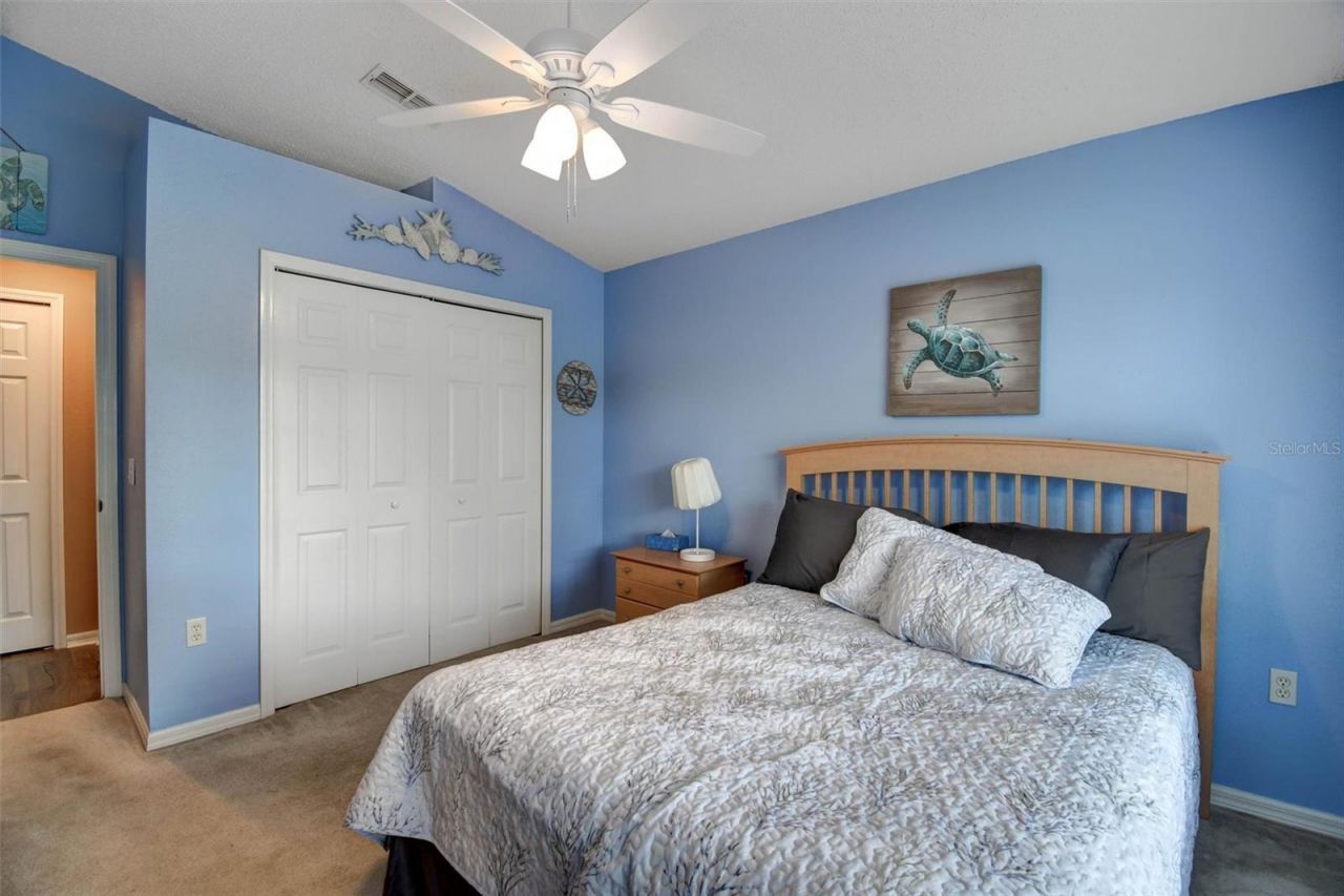 5085 Plumosa Street, Spring Hill, FL 34607 Photo