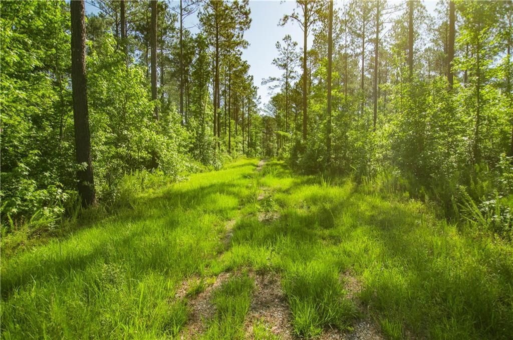 0 Weaver Jones Road, Rutledge, GA 30663 Main Photo