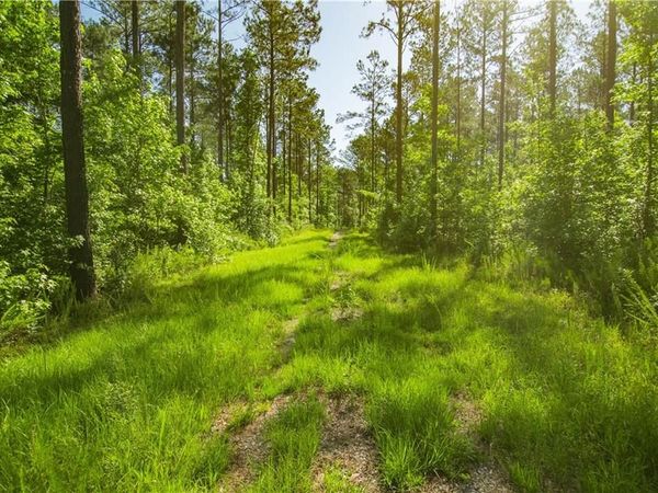 0 Weaver Jones Road, Rutledge, GA 30663