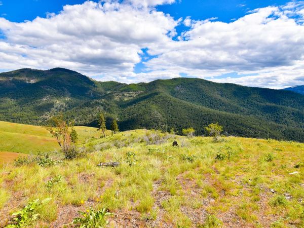 285 Henry Creek Road , Plains, MT 59859