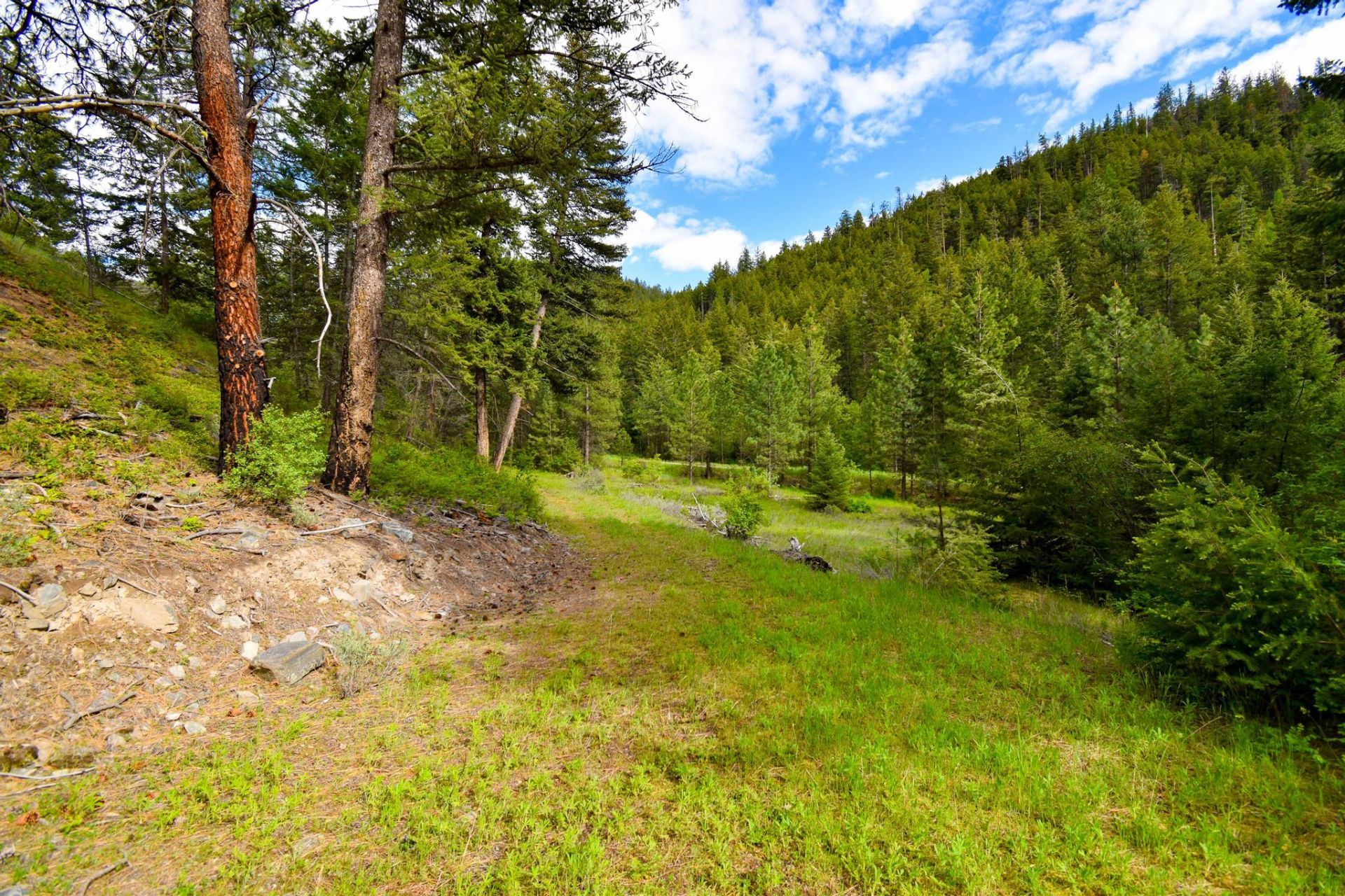 Tract 1 Henry Creek Road , Plains, MT 59859 Main Photo