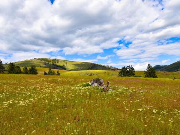 Tract 2 Henry Creek Road , Plains, MT 59859