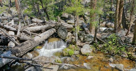 36 Milestone Ln #13, Unit 13, Kyburz, CA 95720 Photo
