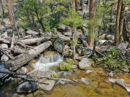 36 Milestone Ln #13, Unit 13, Kyburz, CA 95720 Photo
