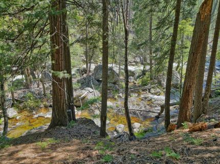 36 Milestone Ln #13, Unit 13, Kyburz, CA 95720 Photo