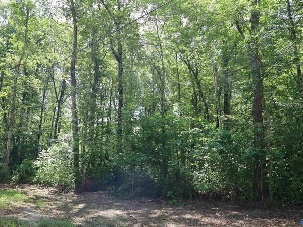 1.47 Acres Libby Lane, Mentone, AL 35984