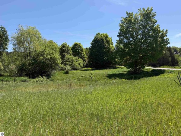 1 Shanty Creek Road, Bellaire, MI 49615