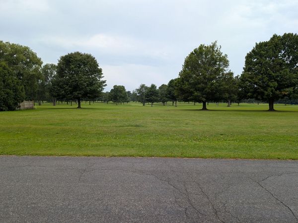V/L Woodland Drive, Dowagiac, MI 49047
