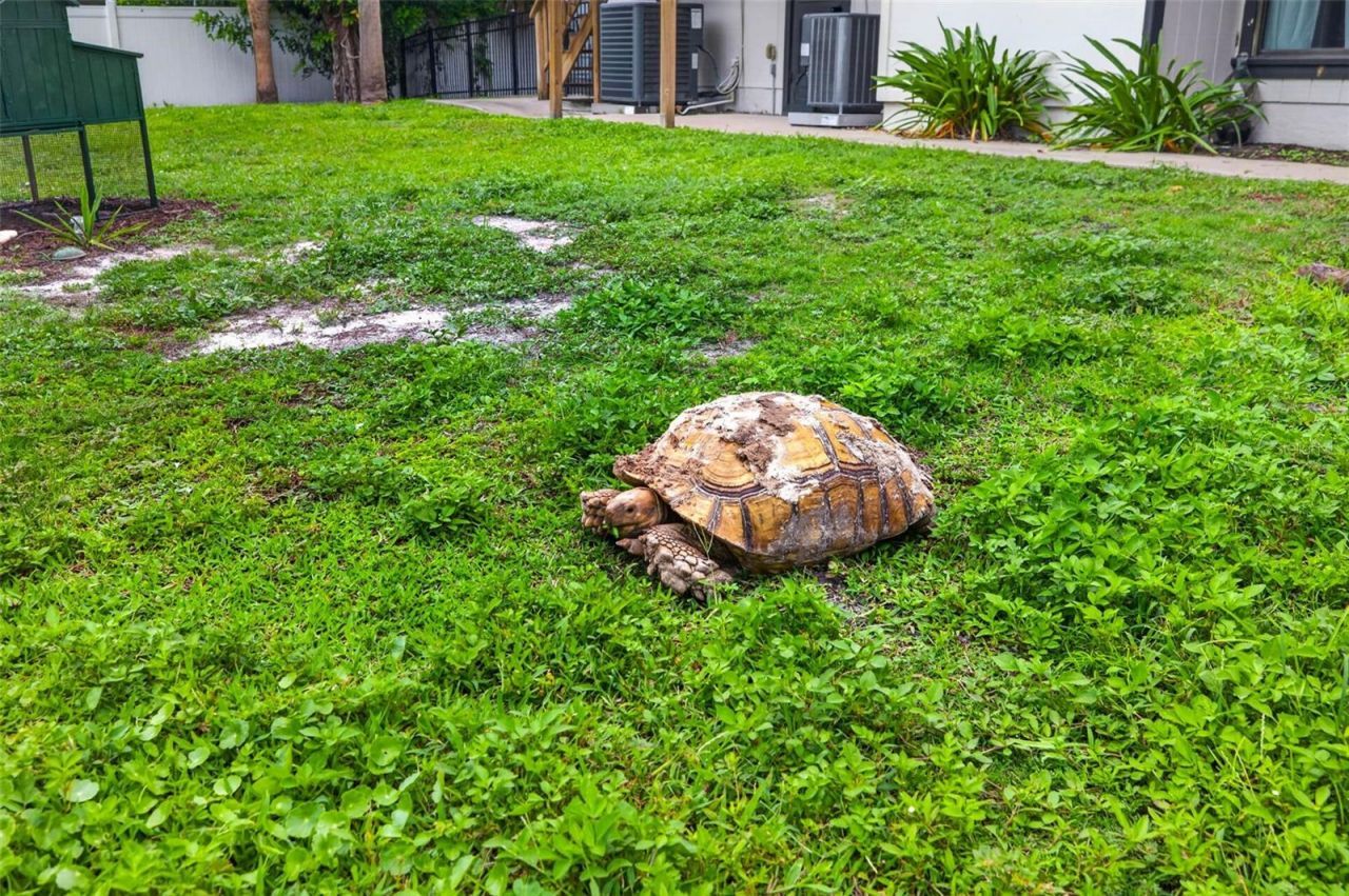 6070 66th Avenue N, Pinellas Park, FL 33781 Photo