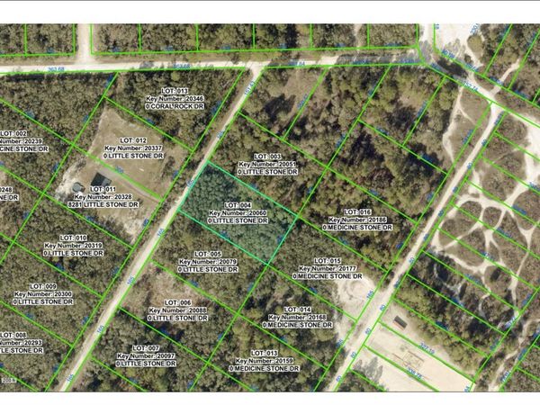 000 LITTLE STONE DRIVE , WEBSTER, FL 33597