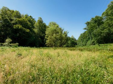 820 Shooting Fork Road, Campton, KY 41301