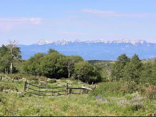 12951 MS Road, Gateway, CO 81522