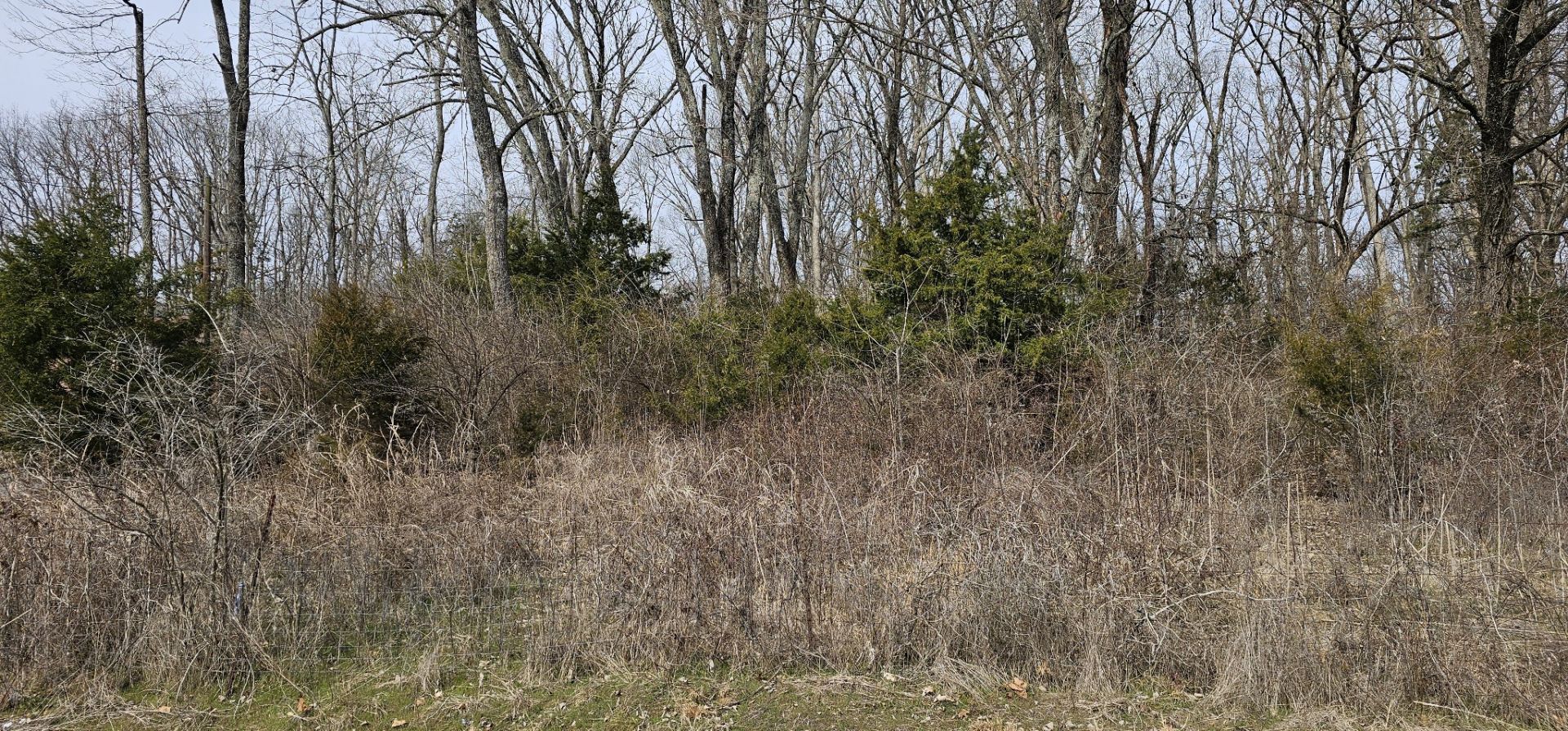12 Center Point Rd , Lot #12, Hendersonville, TN 37075 Main Photo