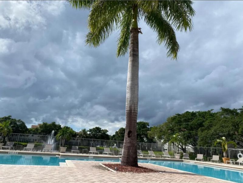 1401 Village Boulevard, Unit 236, West Palm Beach, FL 33409 Photo