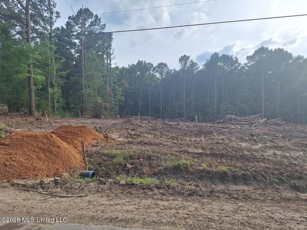 709 Old Pinola Braxton Road, Braxton, MS 39044