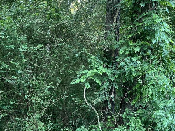 Lot 34 Tanglewood II , Monticello, AR 71655