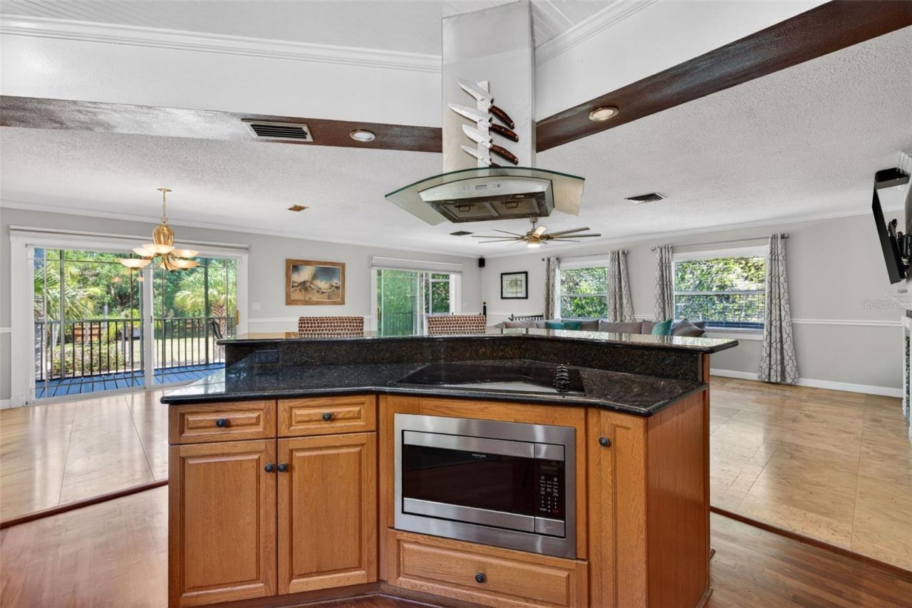 1007 State Street E, Oldsmar, FL 34677 Photo