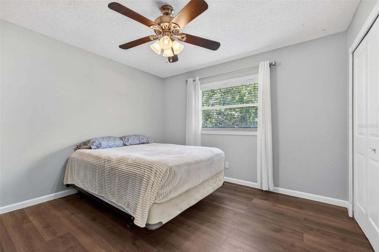 1007 State Street E, Oldsmar, FL 34677 Photo